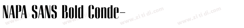 NAPA SANS Bold Conde字体转换